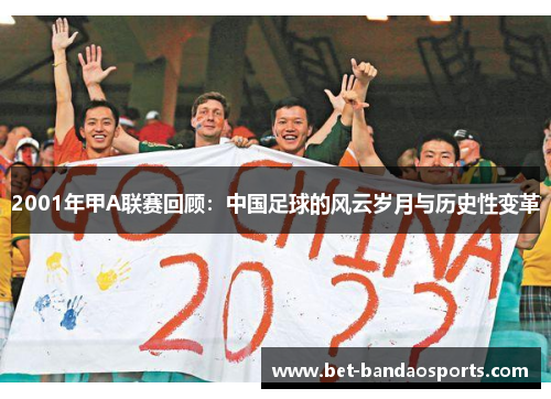 2001年甲A联赛回顾：中国足球的风云岁月与历史性变革
