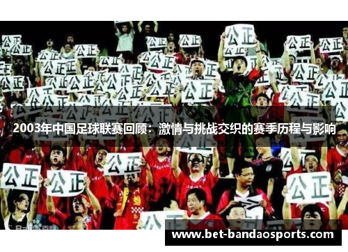 2003年中国足球联赛回顾：激情与挑战交织的赛季历程与影响